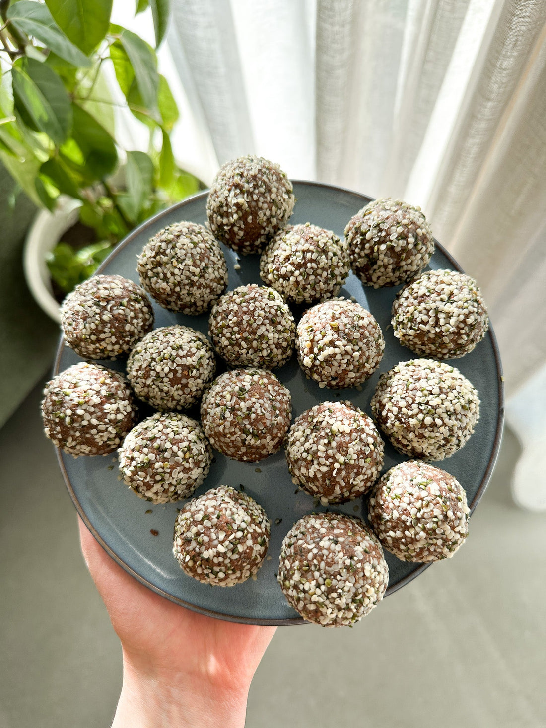 chocolate protein balls